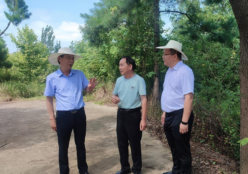 ��˾����(sh��)�_(k��i)չ�h�T�ɲ�